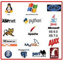 Web hosting